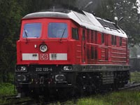 Kliknij aby powikszy