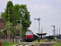 Kliknij aby powikszy