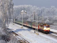 Kliknij aby powi�kszy�