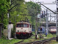 Kliknij aby powi�kszy�