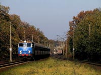 Kliknij aby powi�kszy�