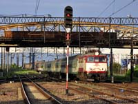 Kliknij aby powi�kszy�