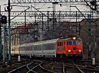 Kliknij aby powikszy