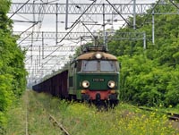 Kliknij aby powikszy