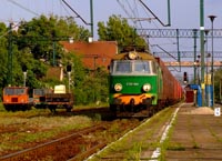 Kliknij aby powikszy