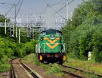 Kliknij aby powikszy