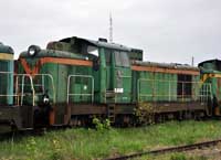 Kliknij aby powikszy