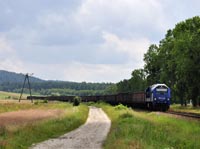 Kliknij aby powikszy