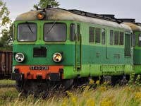 Kliknij aby powikszy