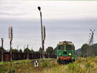 Kliknij aby powikszy