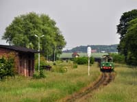 Kliknij aby powikszy