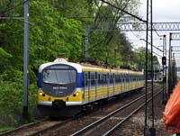 Kliknij aby powikszy