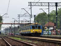 Kliknij aby powikszy