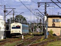 Kliknij aby powikszy