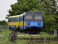 Kliknij aby powikszy