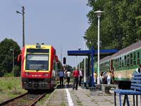 Kliknij aby powikszy